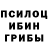 Псилоцибиновые грибы мухоморы Sid Luz