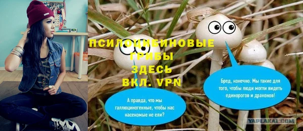ешки Алзамай