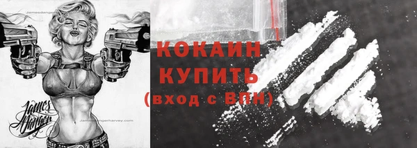 молекула духа Протвино