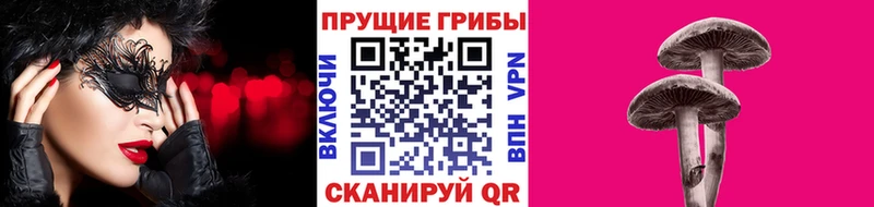 Псилоцибиновые грибы Cubensis  площадка клад  Лабинск  купить  